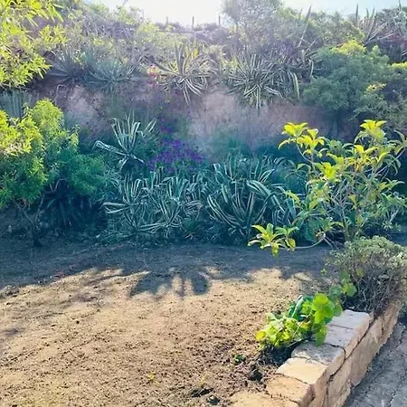 Daire With Beautiful Private Garden & Breathtaking Sea View Porto Alabe