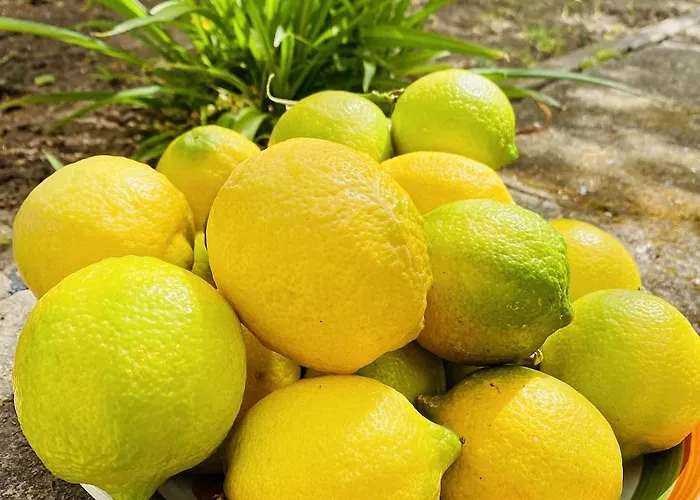 Apartamento With Beautiful Private Garden & Breathtaking Sea View *