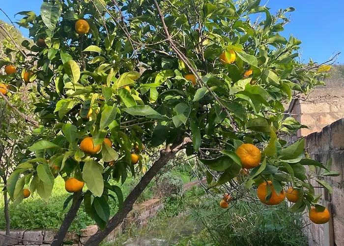 Apartamento With Beautiful Private Garden & Breathtaking Sea View