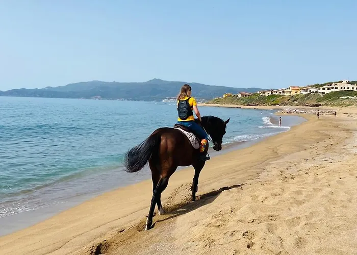 Apartamento With Beautiful Private Garden & Breathtaking Sea View *